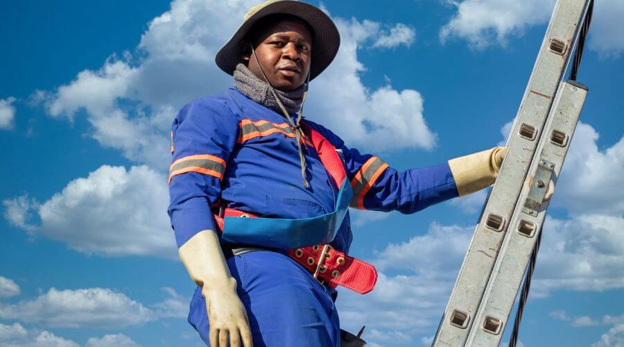 Professional landscape lighting services in Lone Tree